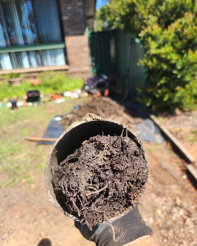 Tree Roots Out Of The Pipe — Dynamic Plumbing & Drainage